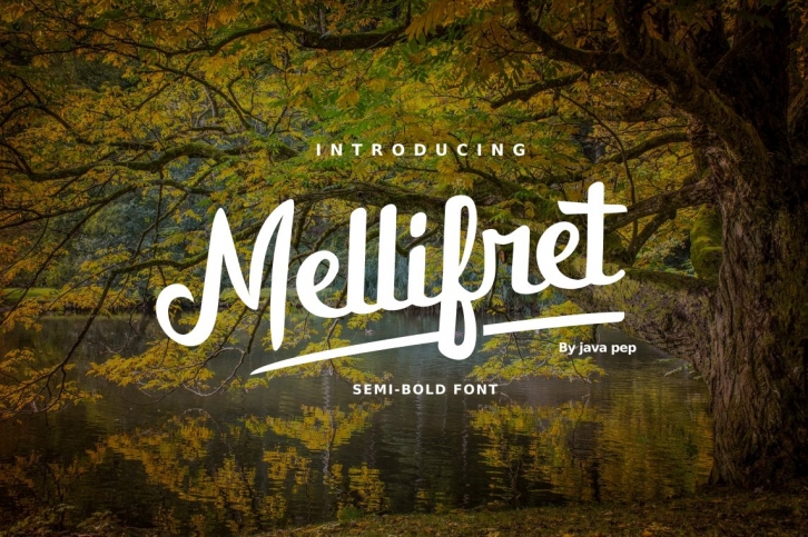 Mellifret script font Font Download