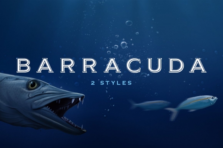 Barracuda Display Font Download