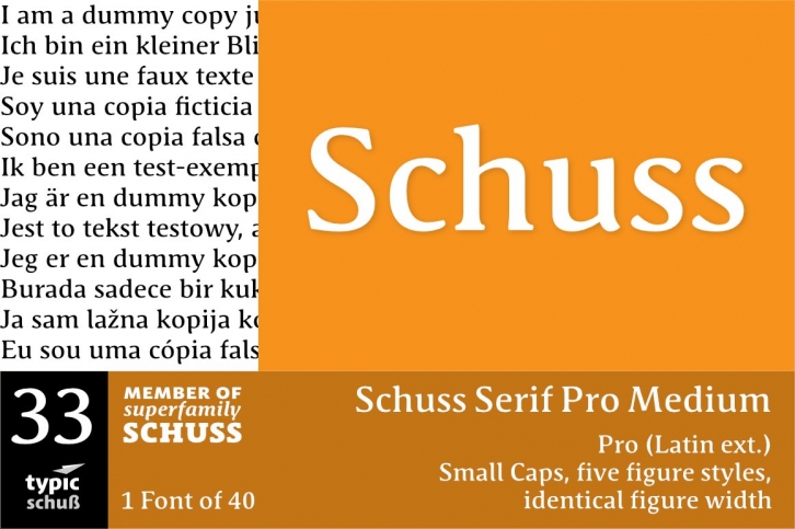 SchussSerifProMedium No.33 (1) Font Download
