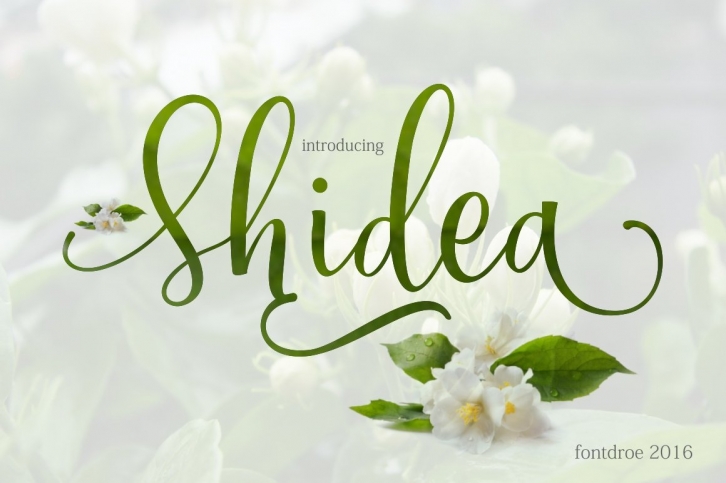 Shidea Font Download
