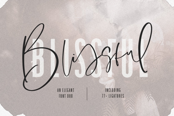 Blissful Elegant Duo Font Download