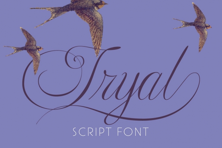 Tryal Font Download