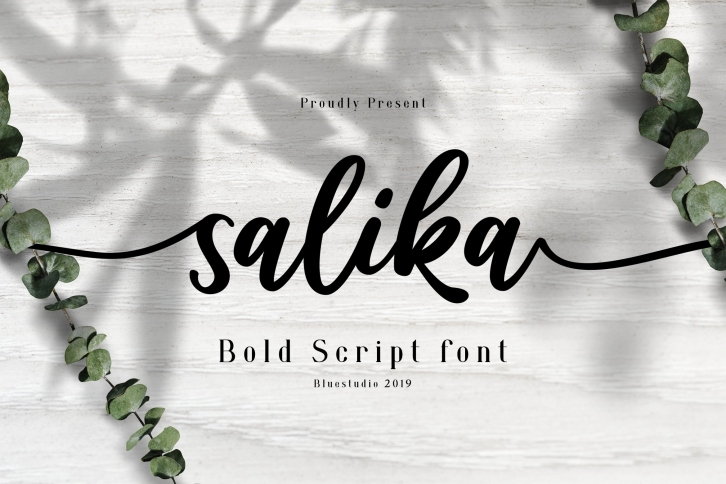 Salika // Bold Script Font Download