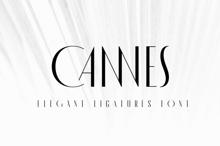 MADE Cannes Font Download