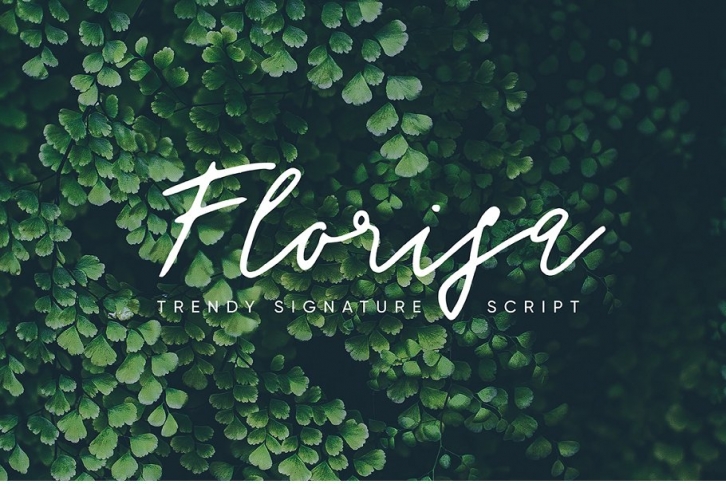Florisa signature script Font Download