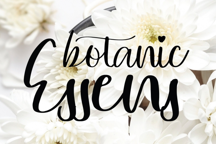 Amitazara Font Download