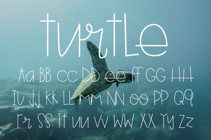 Turtle Font Download