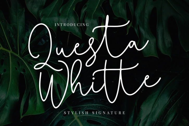 Questa Whitte Script Font Download