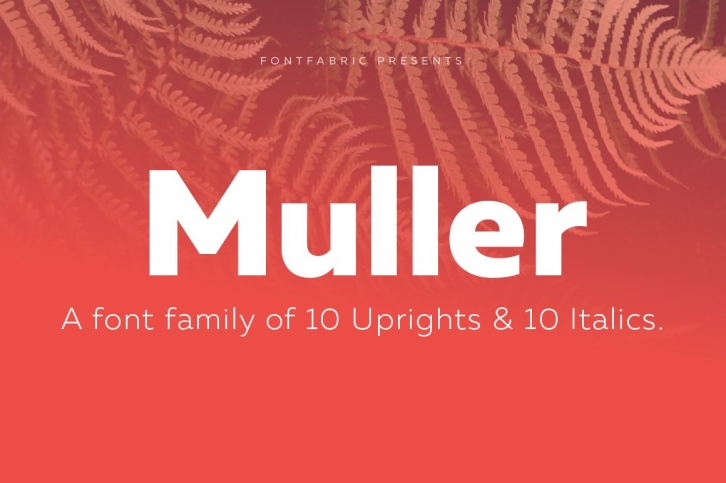 Muller Family Font Download