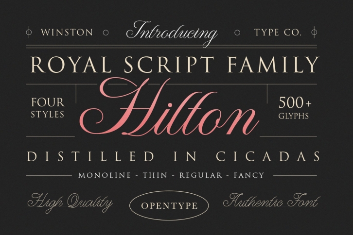 WT Hilton Script Font Download