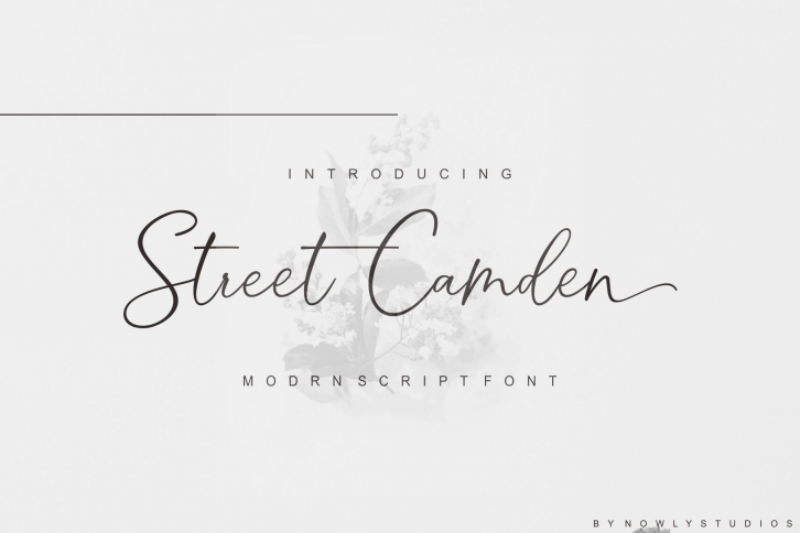 Street Camden Script Discount 50% Font Download