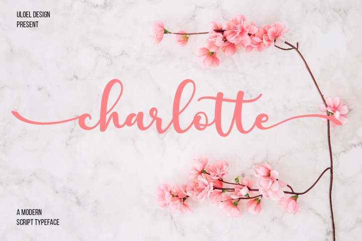 Charlotte Font Download