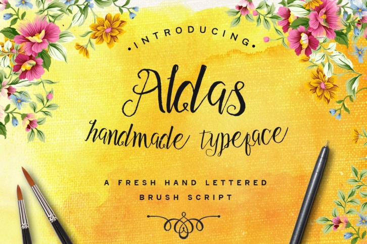 Aldas Typeface  Illustration Pack Font Download