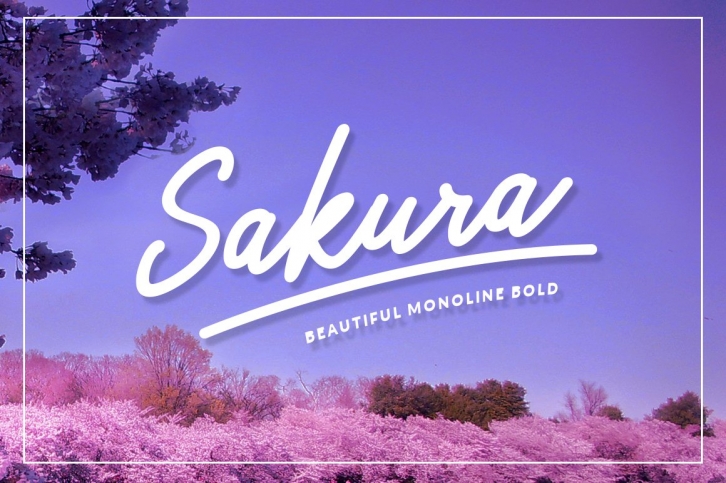 Sakura Bold Font Download