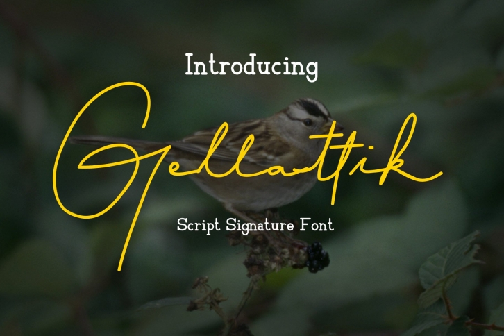 Gellattik Font Download