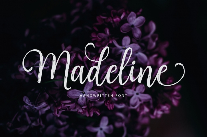 Madeline Script Font Download