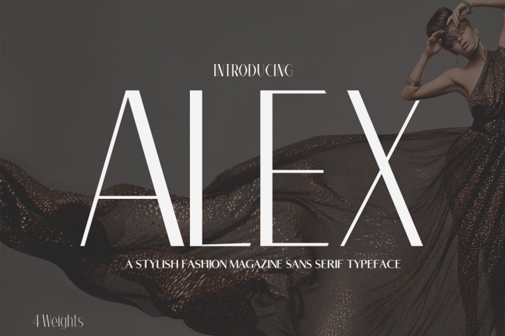 Alex Sans Serif Family Font Download