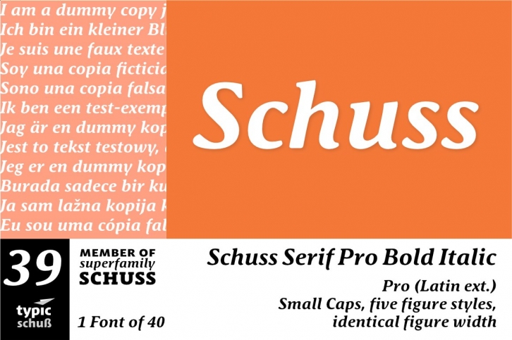 SchussSerifProBoldIta No.39 (1) Font Download