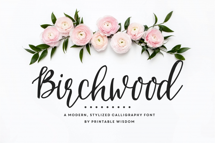 Birchwood Calligraphy Font Download