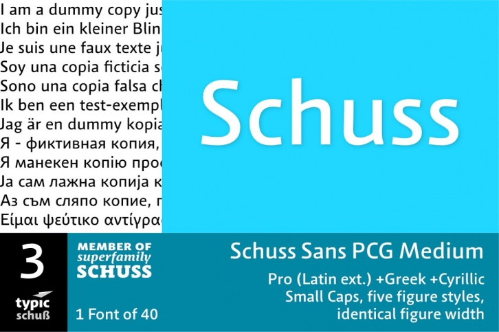 SchussSansPCGMedium No.03 (1) Font Download