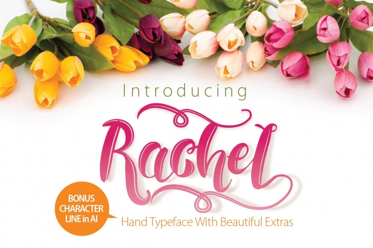 Rachel with Extras + Bonus Font Download