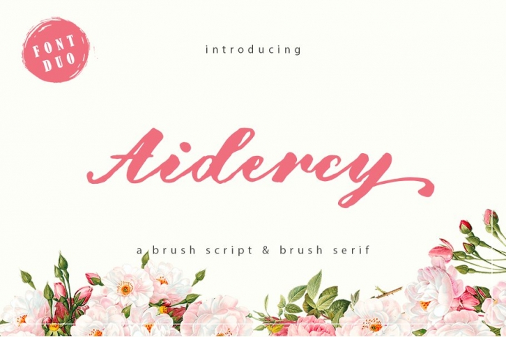 Aidercy Brush // Duo Font Download