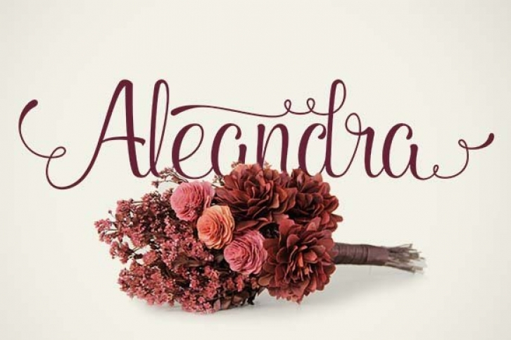 Aleandra (25% off) Font Download