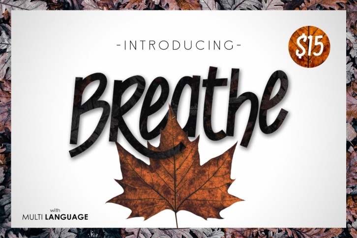 Breathe Typeface Font Download