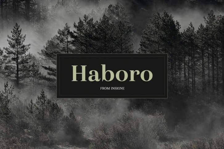 Haboro Font Download