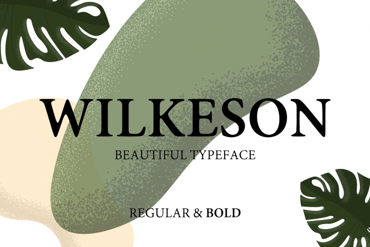 Wilkeson Modern Serif Typeface Font Download