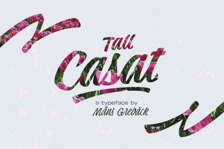 Tall Casat Font Download