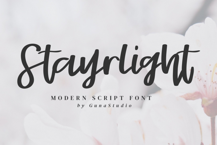 Stayrlight // Modern Script Font Download