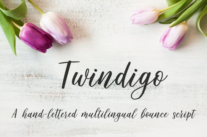 Twindigo Script Font Download