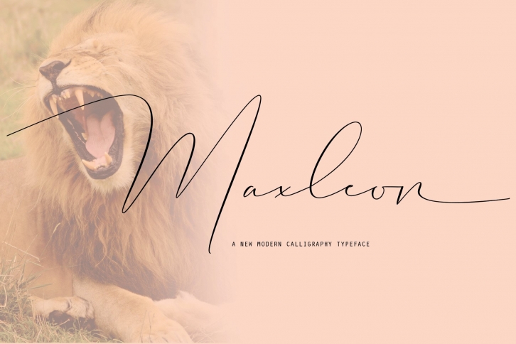 Maxleon Font Download