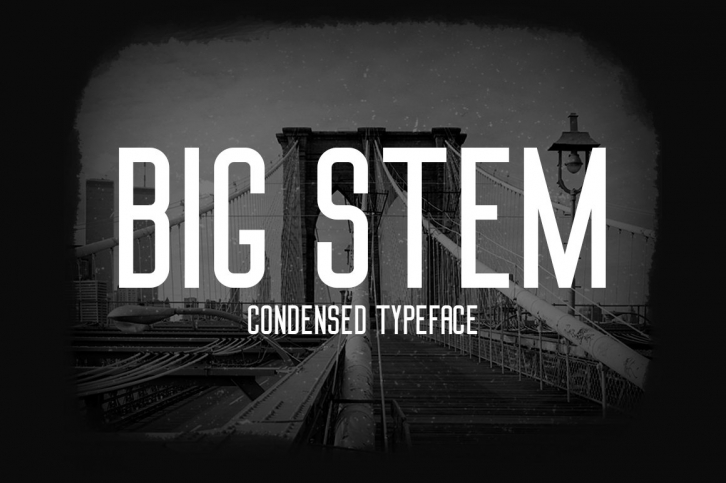 Big Stem Type Family Font Download