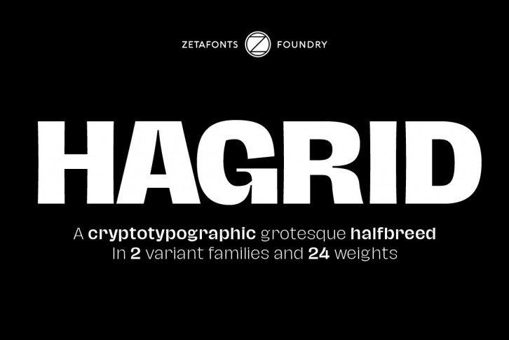 Hagrid 24 fonts + 4 variables Font Download