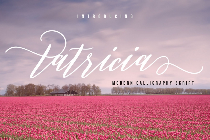 Patricia Script Font Download