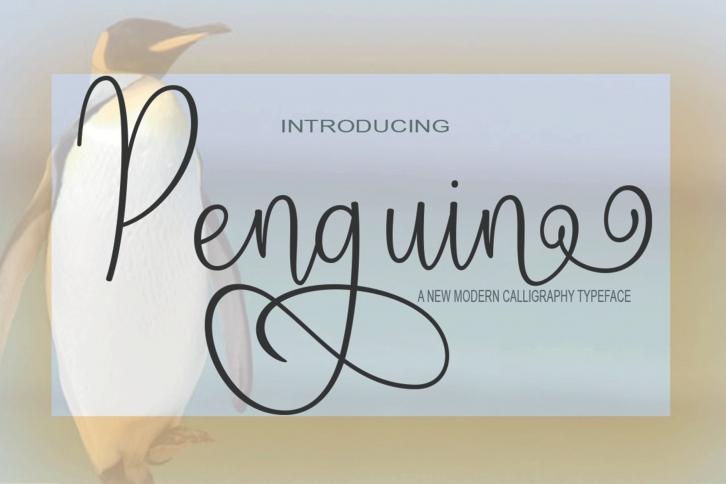 Penguin Script Font Download