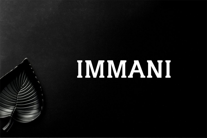 Immani 2 Family Pack Font Download