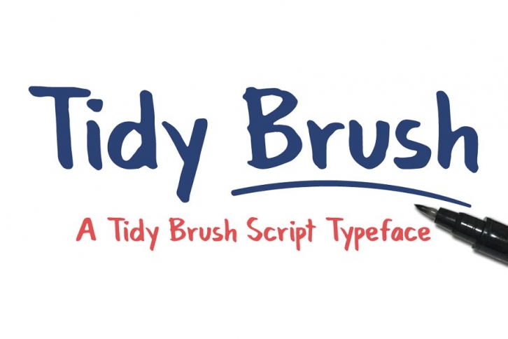 Tidy Brush Script Typeface Font Download