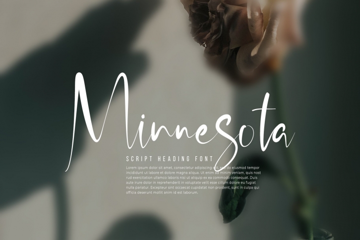 Minnesota Script Heading Font Download