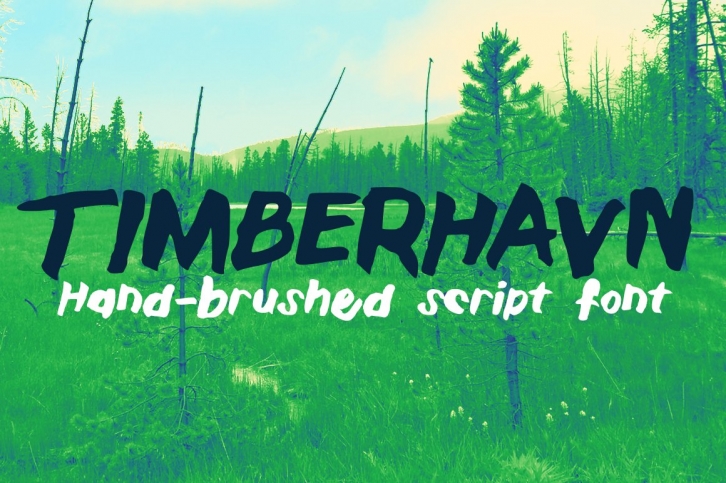 Timberhavn Thick Brush Font Download