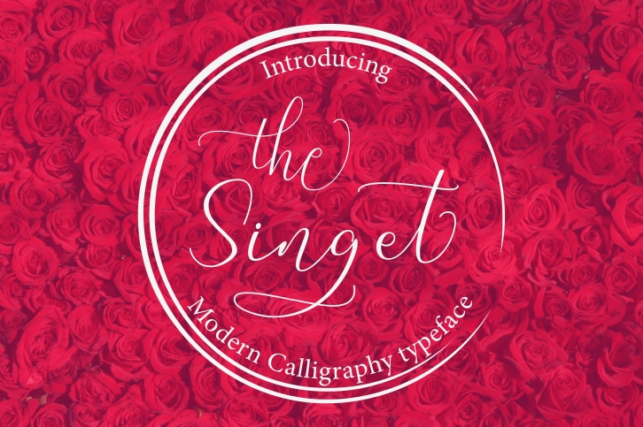 The Singet Font Download