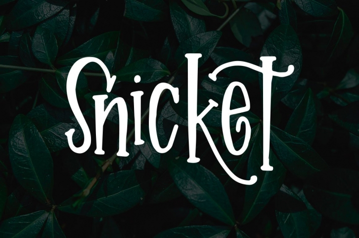 Snicket Font Download