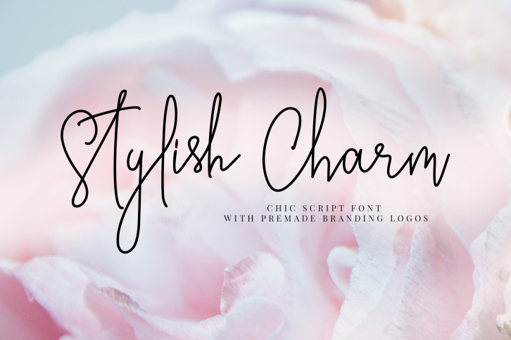 Stylish Charm Brand  Logotype Font Download