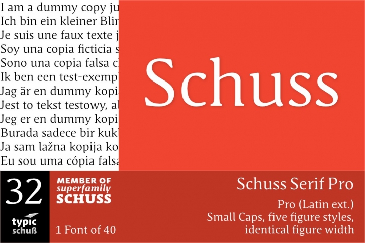 SchussSerifPro No.32 (1) Font Download