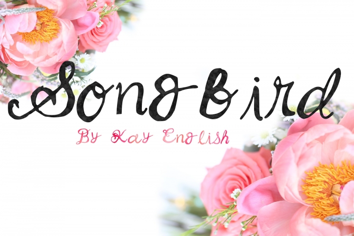 Songbird whimsical font by Kay Font Download
