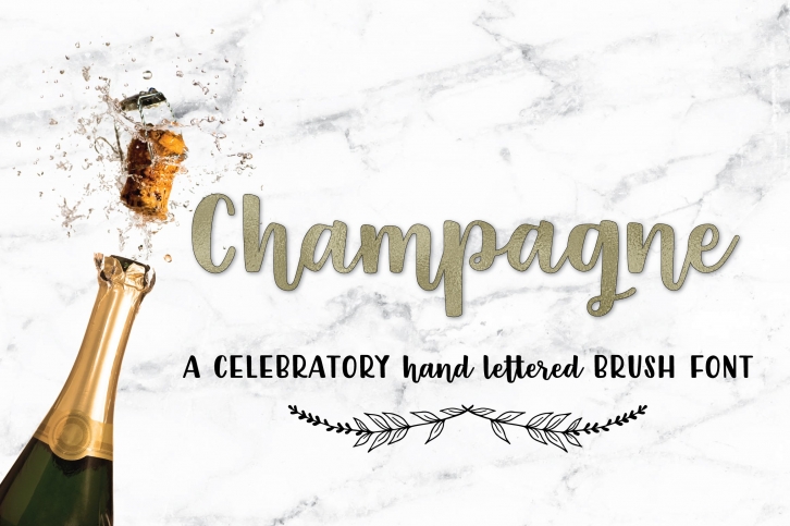 Champagne Script Handlettered Font Download