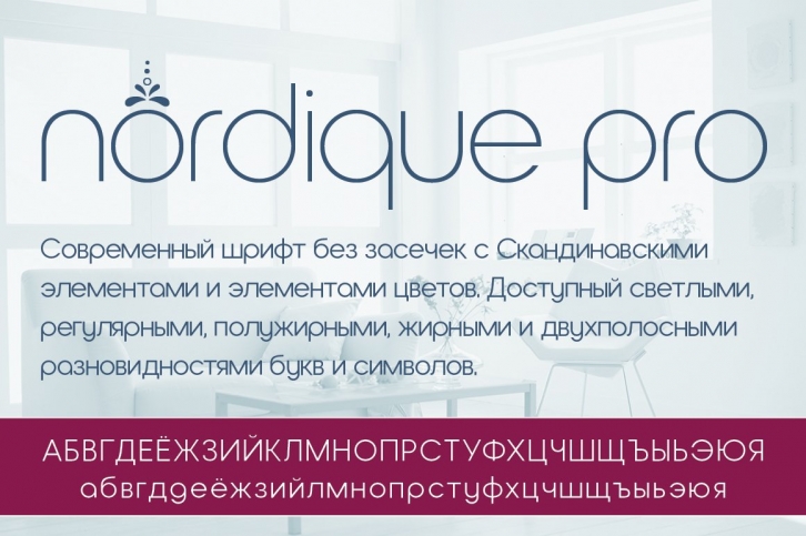 Nordique Pro Cyrillic Collection Font Download