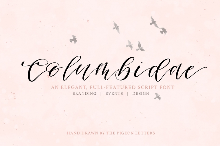 Columbidae Elegant Calligraphy Font Download